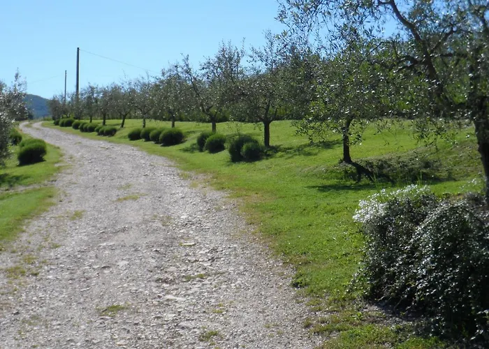 Diana Esclusiva Con Piscina Per In Pieno Relax Villa
