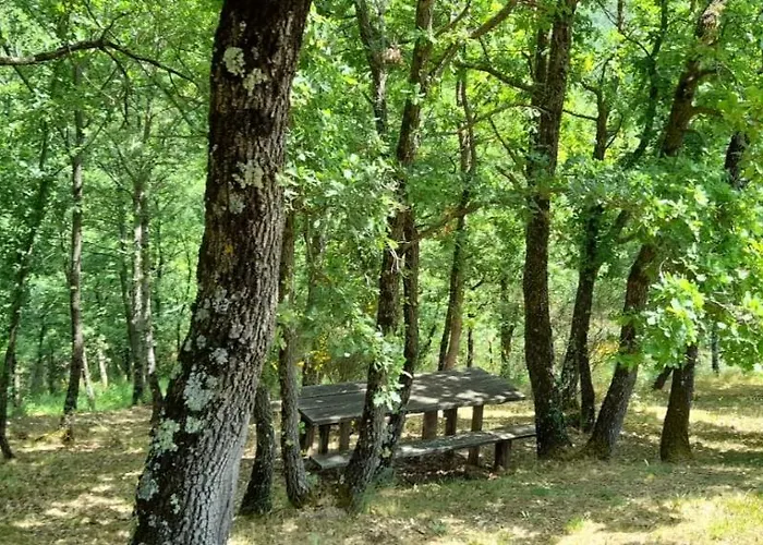 Diana Esclusiva Con Piscina Per In Pieno Relax Collelungo (Baschi)